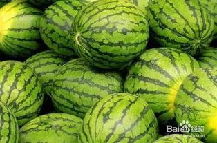 美味快递在线观看西瓜,在线观看西瓜，尽享美食盛宴  第3张