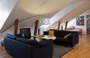 阁楼在线观看,在线观看之旅  第2张