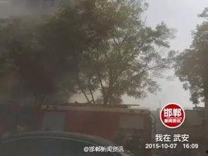 天津公园爆料事件视频,惊人一幕引发社会关注  第3张